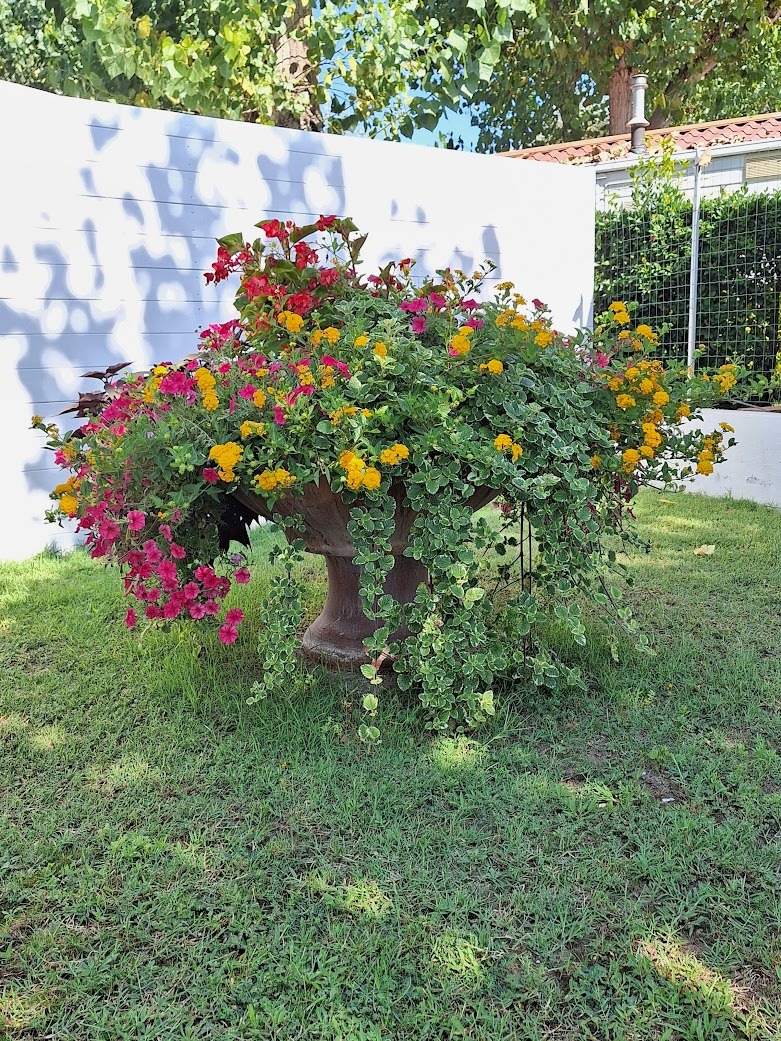 multiple plants and flowers thriving tohether in a large bed