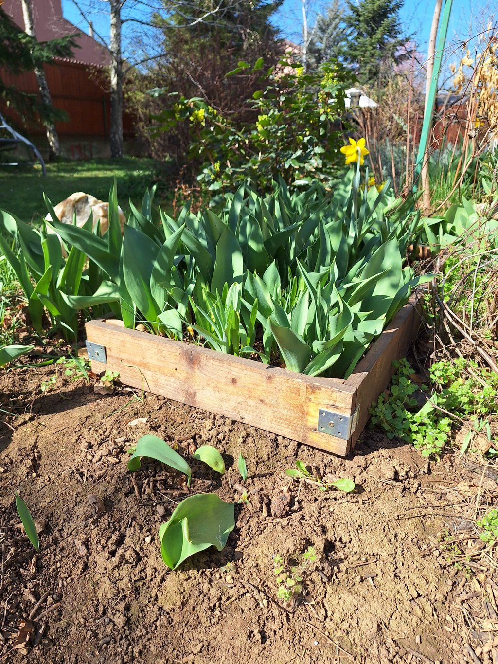an interesting wood border layout