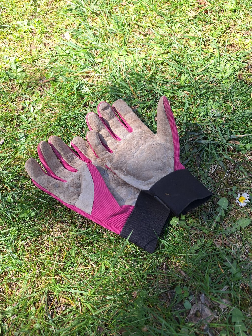 a pair of gloves for trimming hanging garden plants 