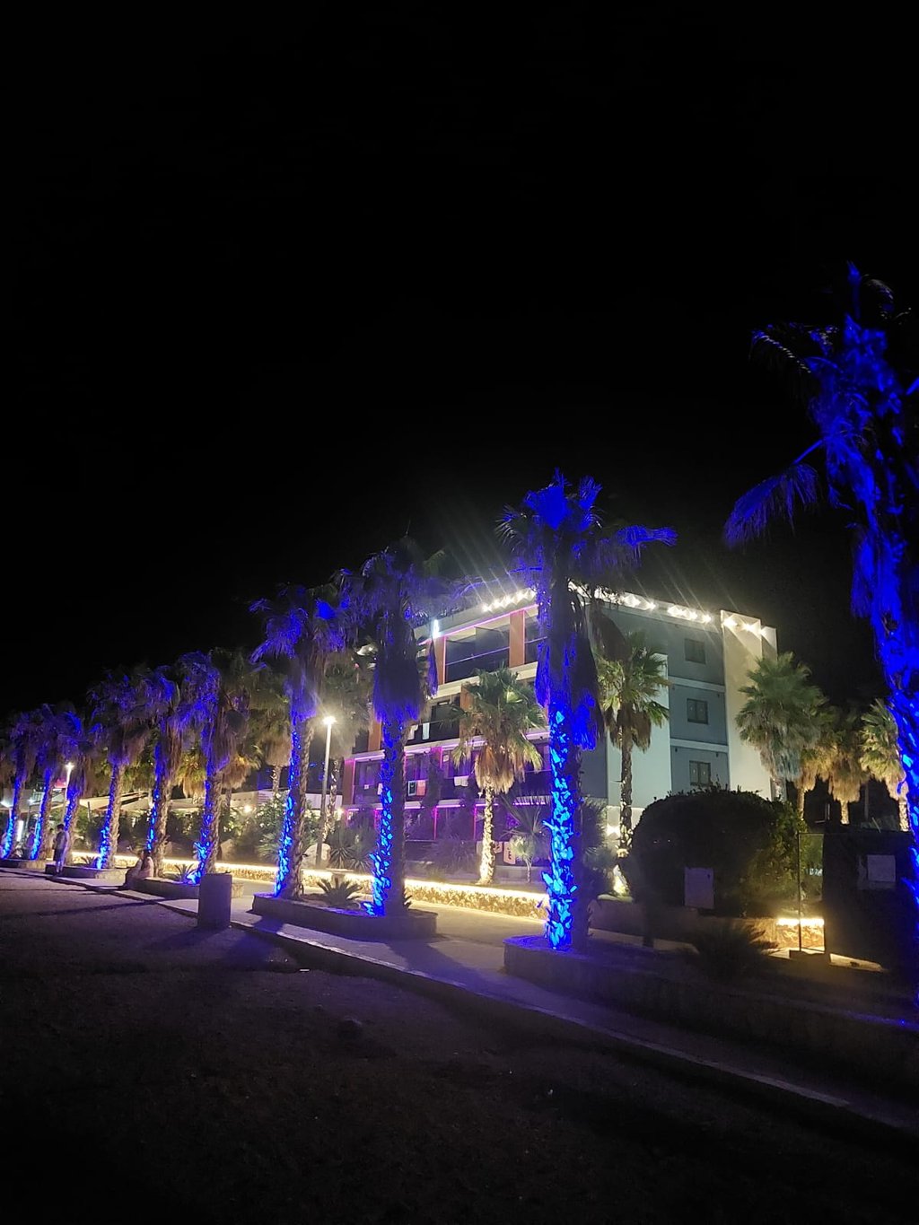 Beleuchtete Palmen in Novalja, Kroatien