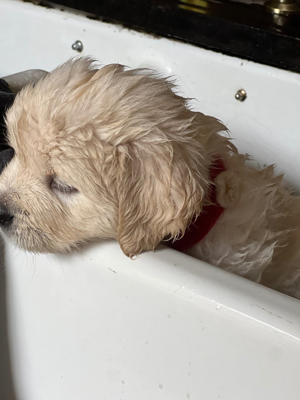 Sometimes an emergency bath is nessesary