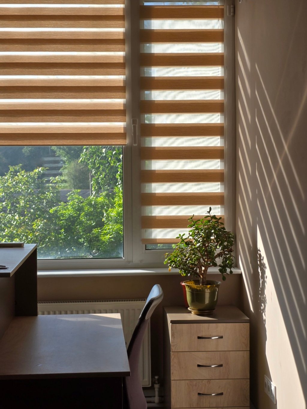 Modern home office with zebra blinds on a window, a small jade plant on a desk, and sunlight shadows on the wall.
