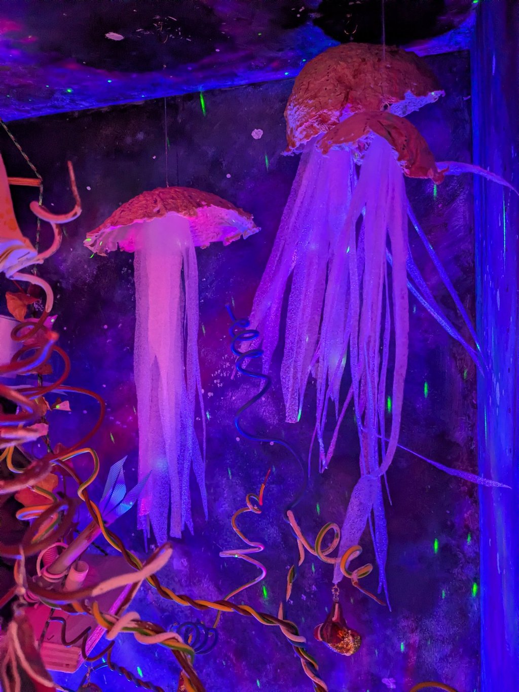 jellyfish paper and ecoprinted