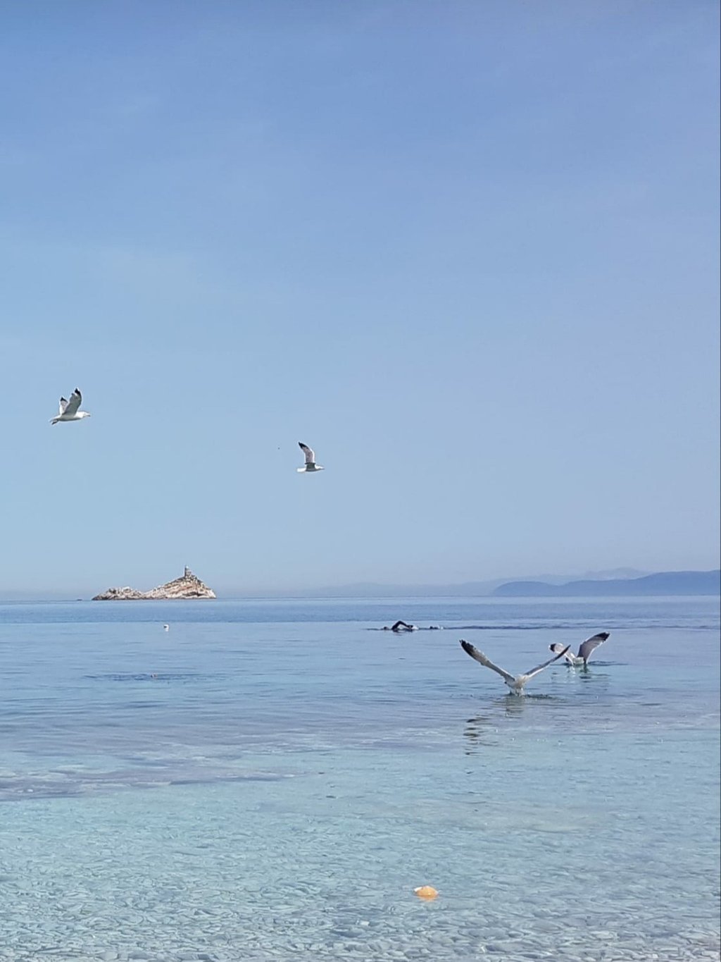 spiaggia le Ghiaie mare Portoferraio