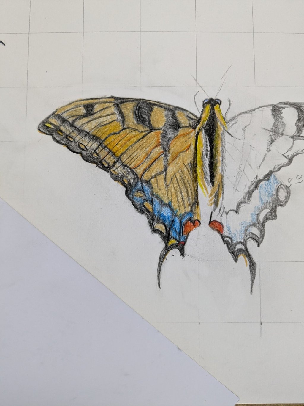 pencil drawing butterfly, drawing painting art course newport Pagnell