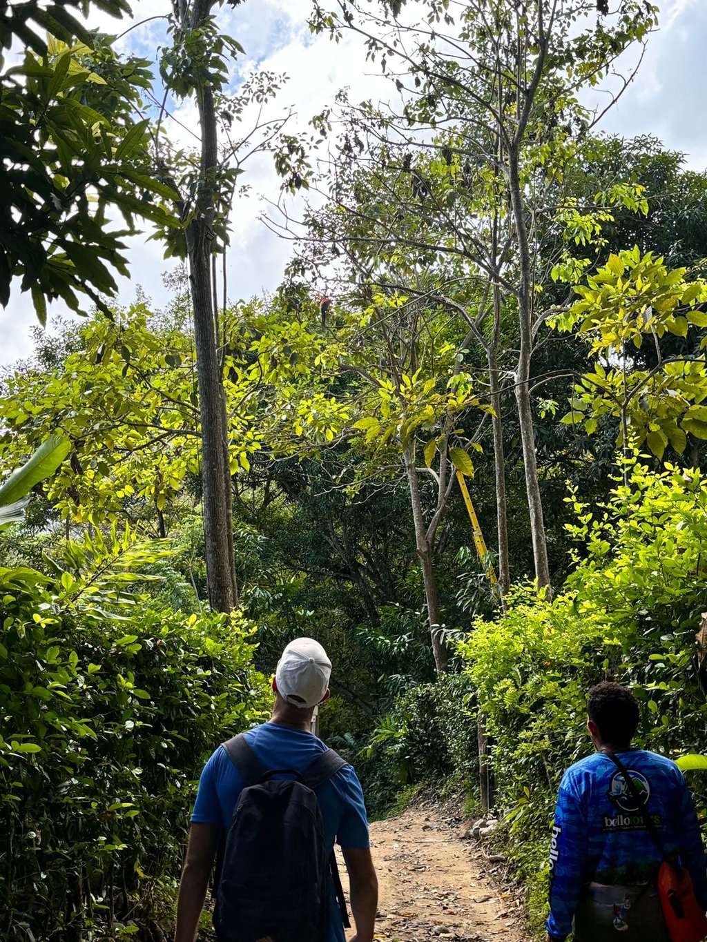 Caminata de naturaleza en Don Diego antes de llegar al rio