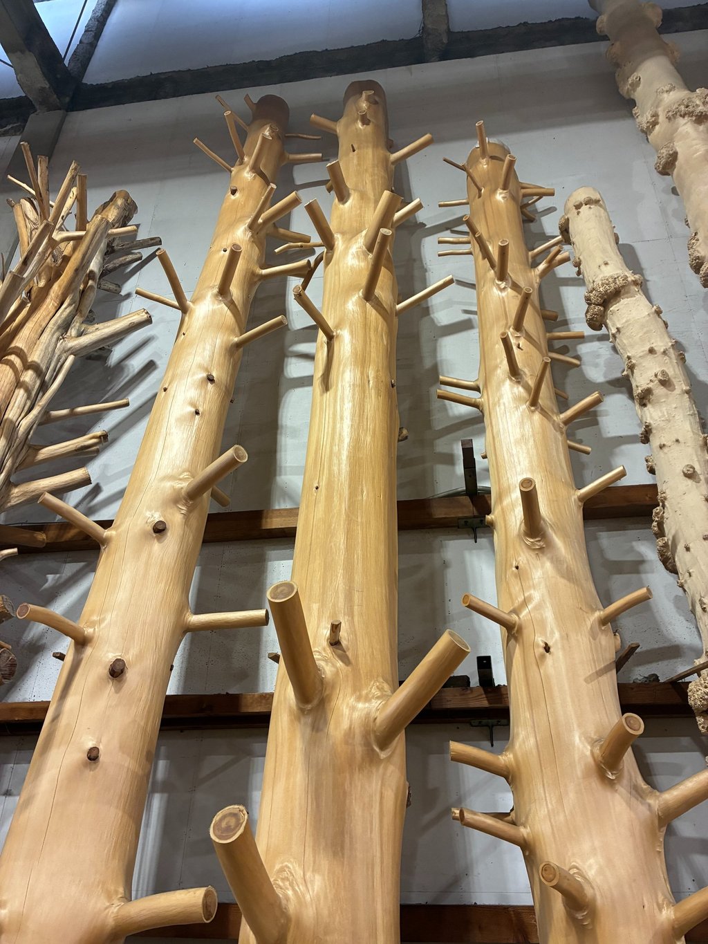 Polished natural wood log columns with decorative branch stubs for rustic timber interior design.