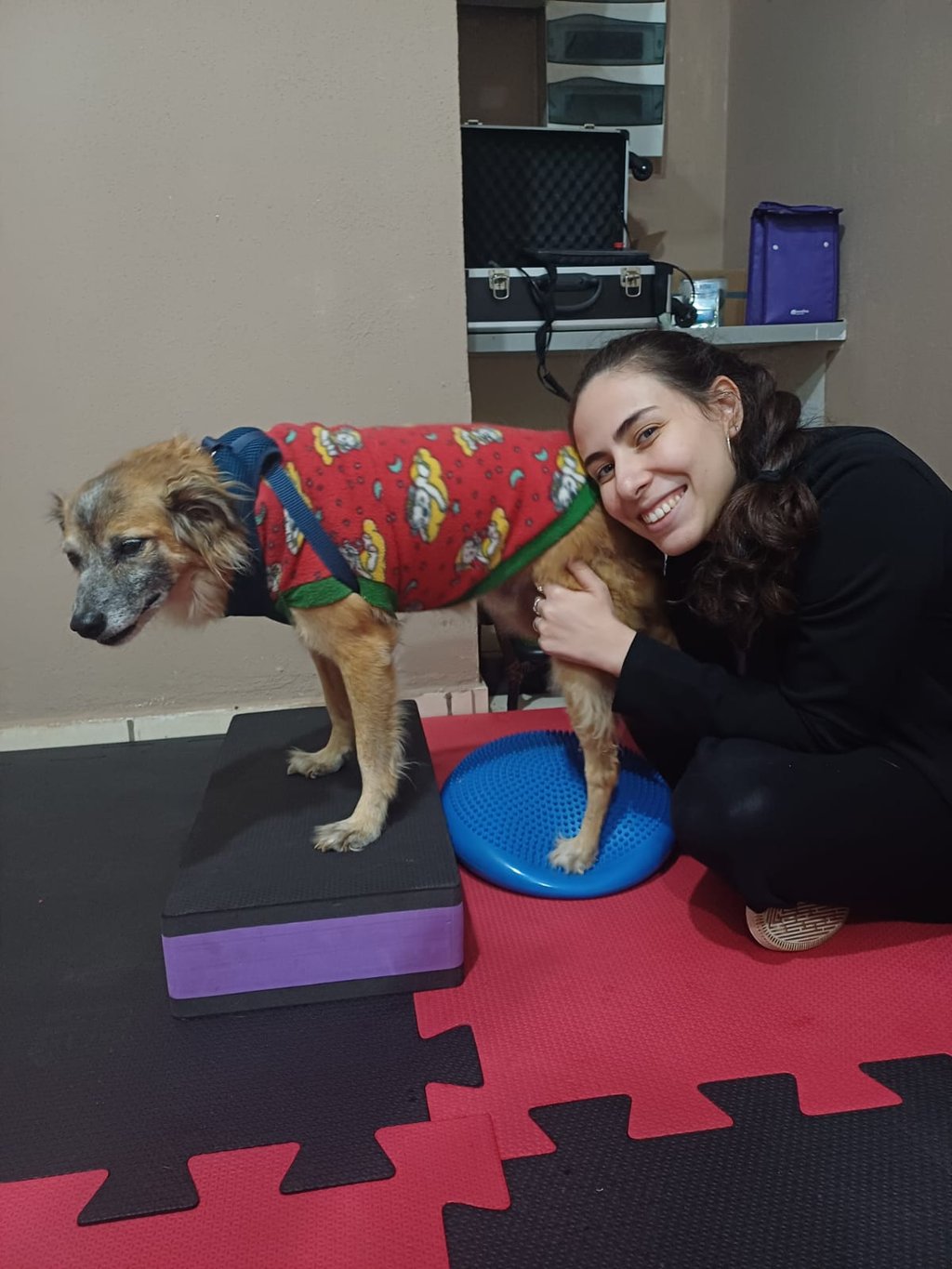 Veterinária em três lagoas