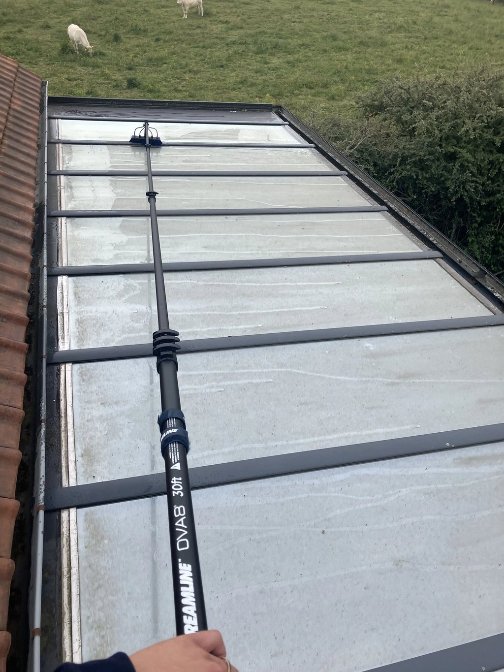 Toiture vitrée avant intervention de nord vitres