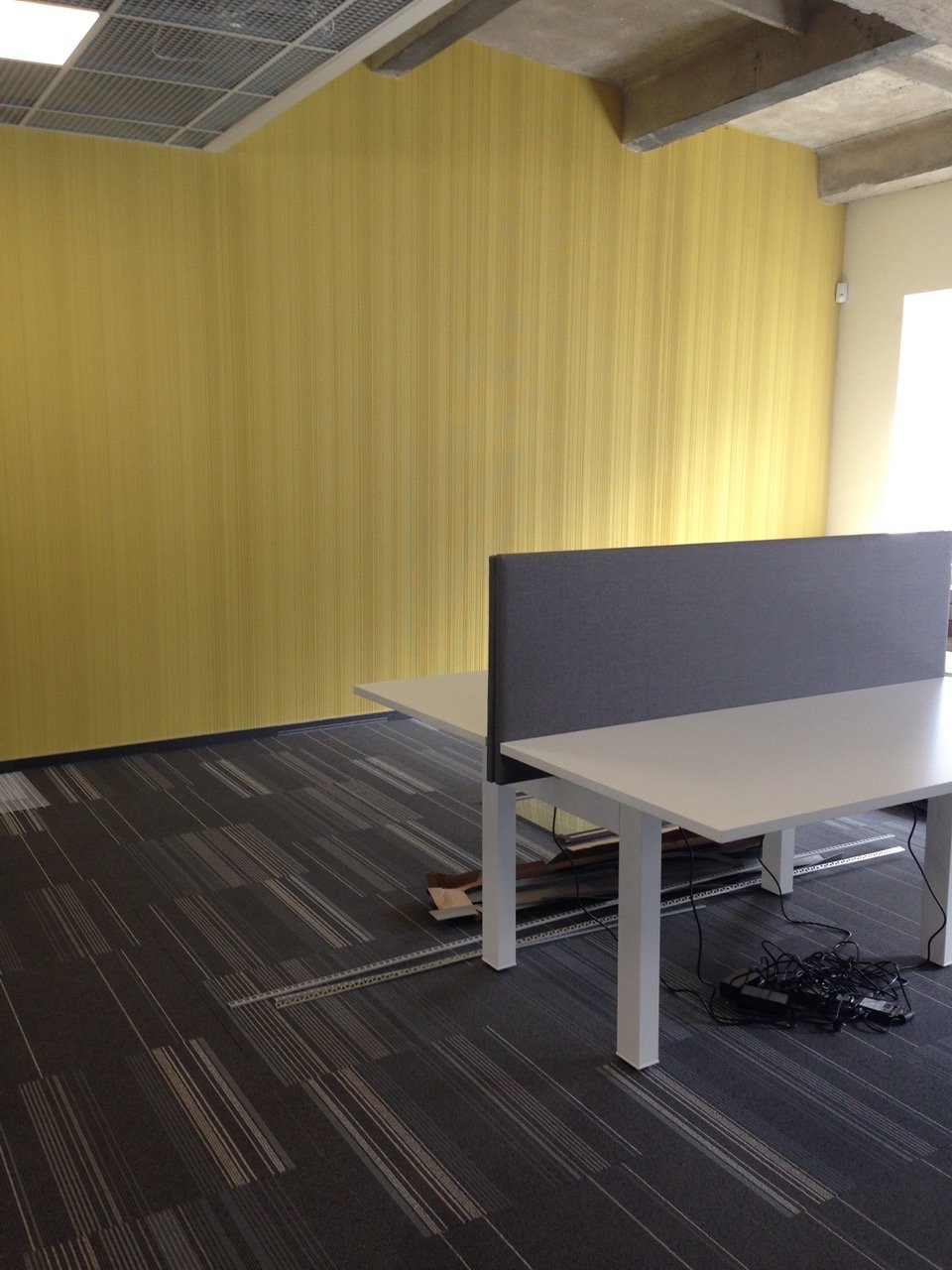 vinilines sienu dangos