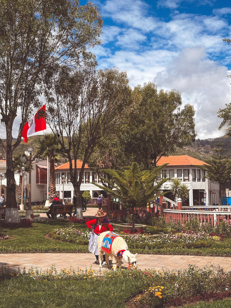 Alpaca and Peruvian Woman in the Center of Huaraz in Peru, South America