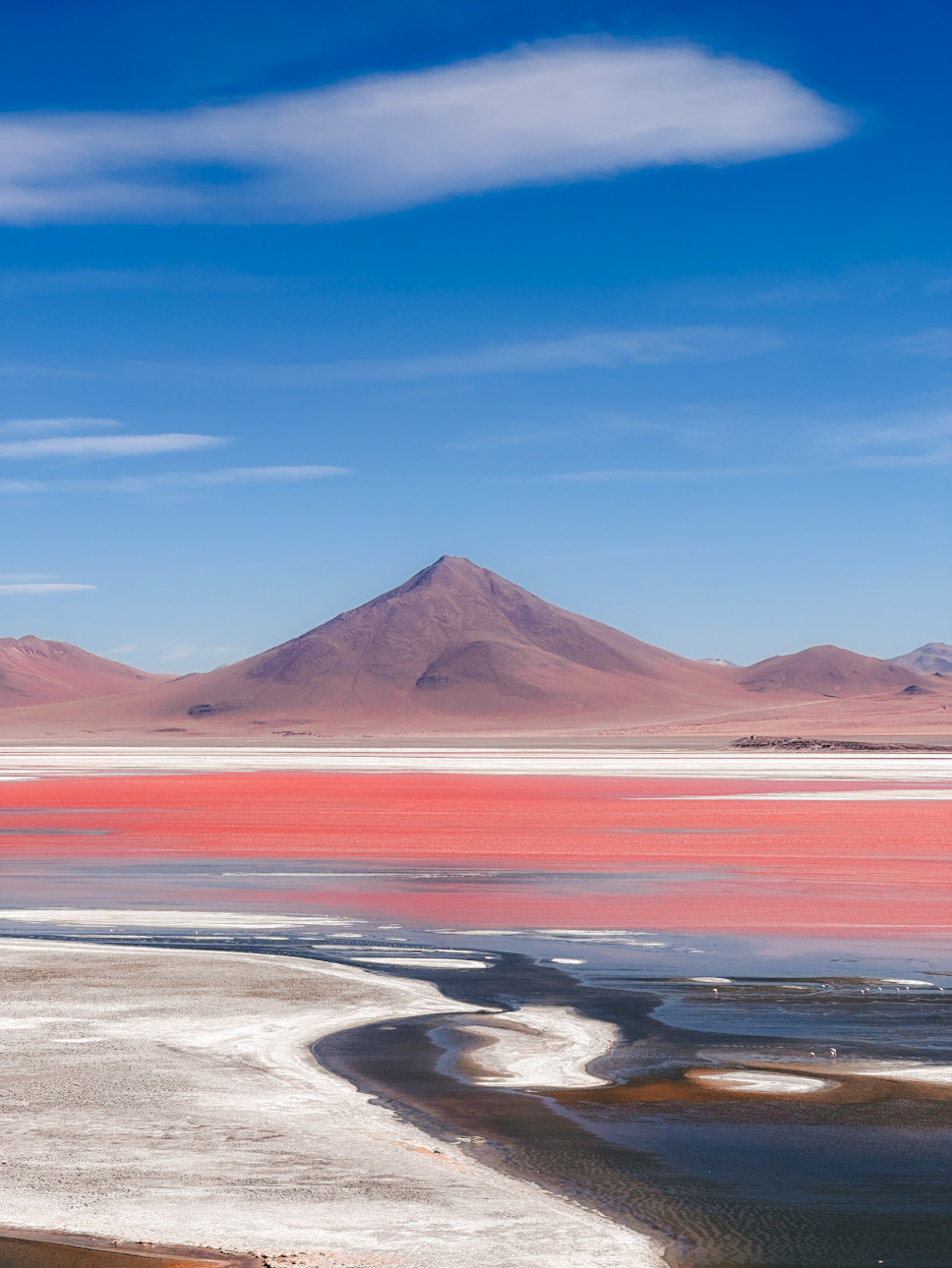 Laguna Colorado in Bolivia, South America