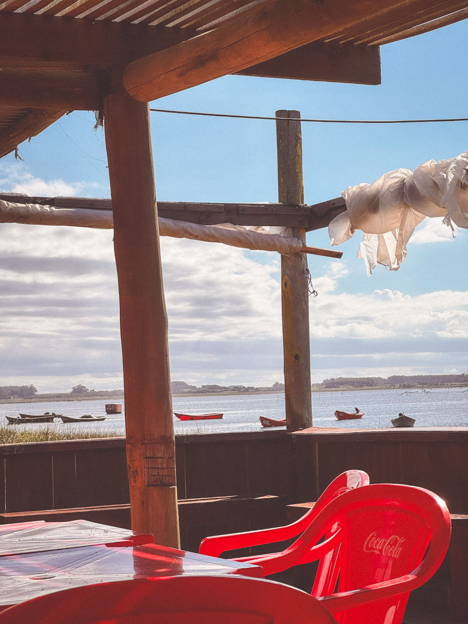 Apalco next to Laguna Rocha in Uruguay
