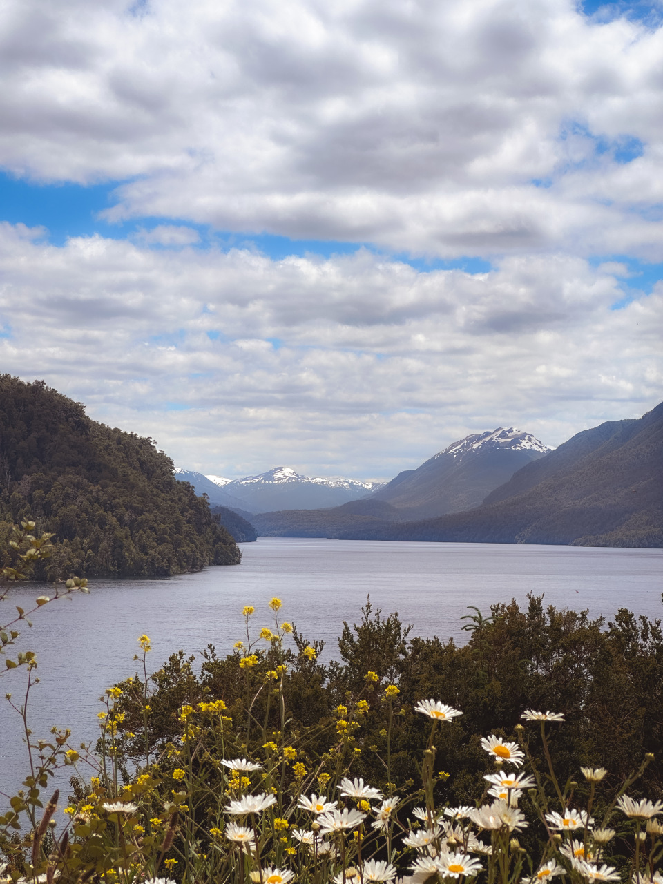 San Martin de Los Andes, Argentina, Patagonia, South America