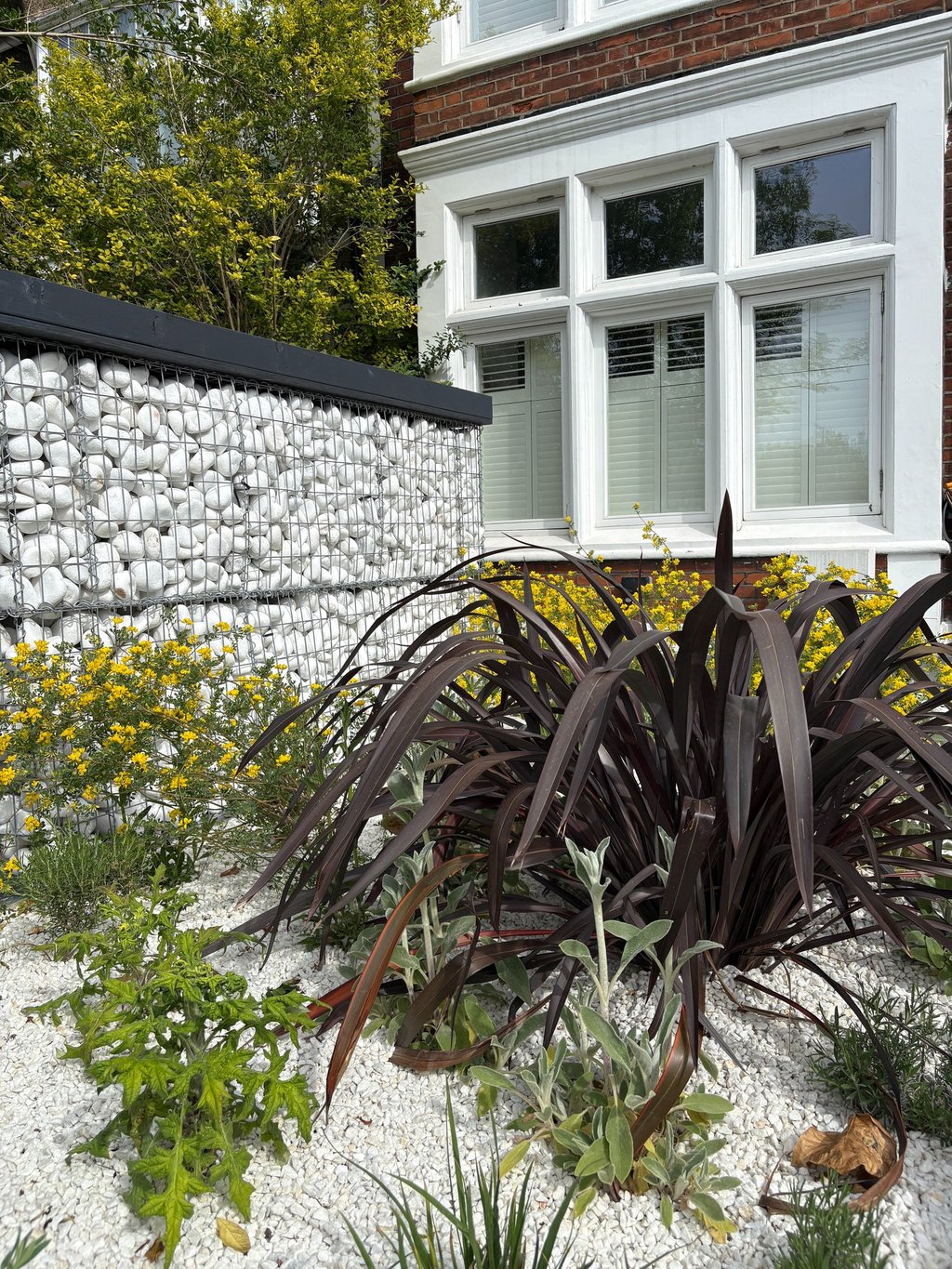 Mediterranean-style front garden in Blackheath with gravel planting and drought-tolerant perennials