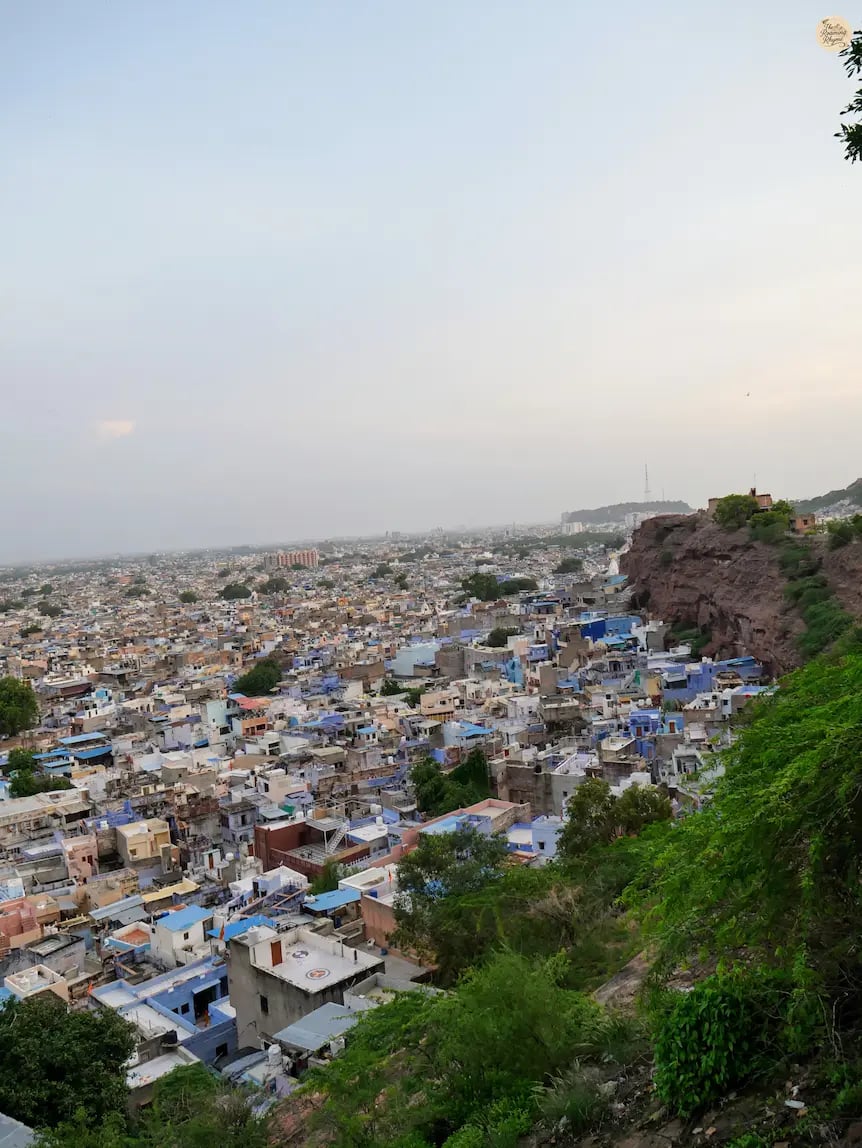 Aerial view of Jodhpur’s blue houses captured from Pachetia Hill, Rajasthan.