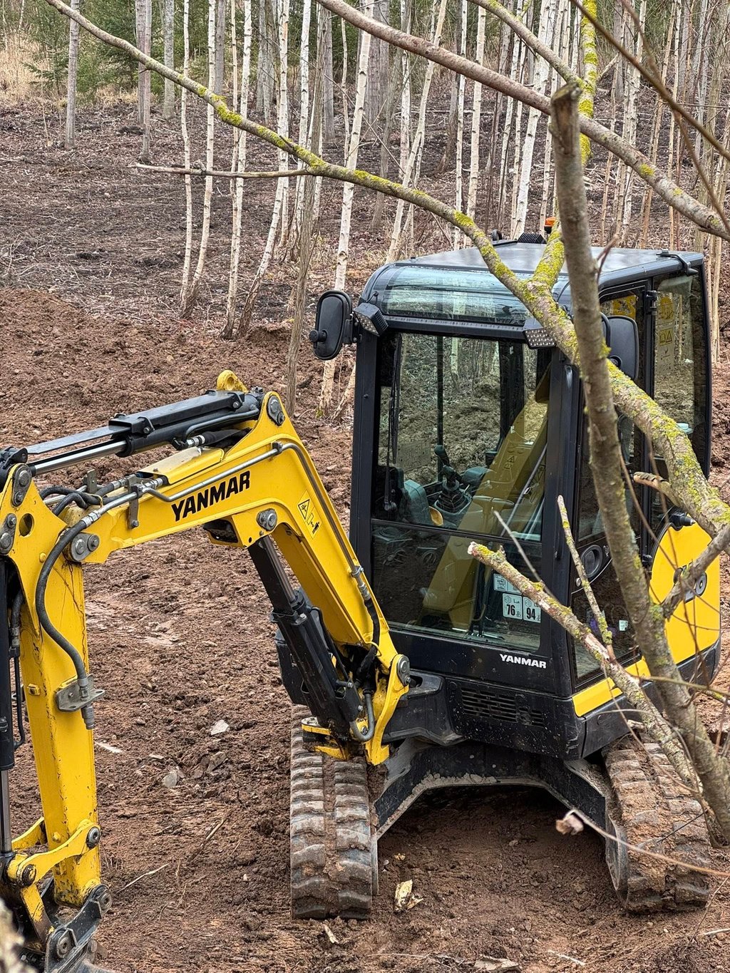 senu sklypo valymas, krumu valymas, sklypo valymas