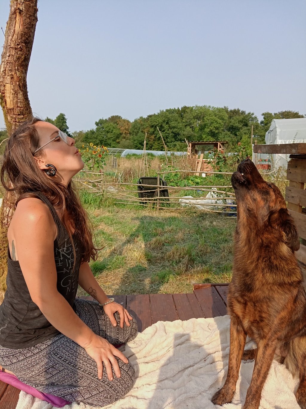 photo ma chienne et moi