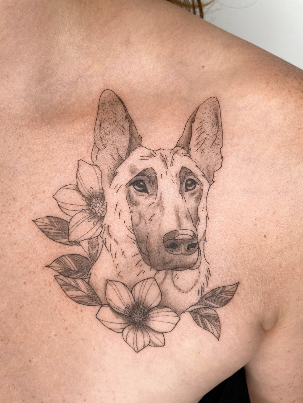 Tatouage en fine line d'un chien malinois entourée de fleurs sous la clavicule