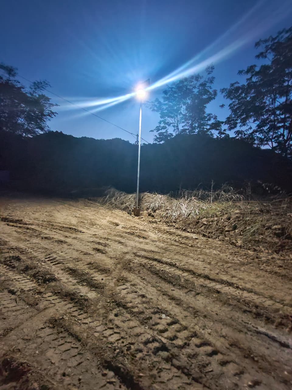solar street light