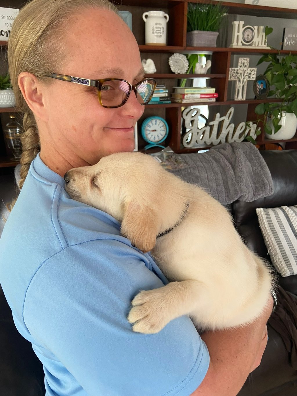 Pet Transport Licensed and Insured