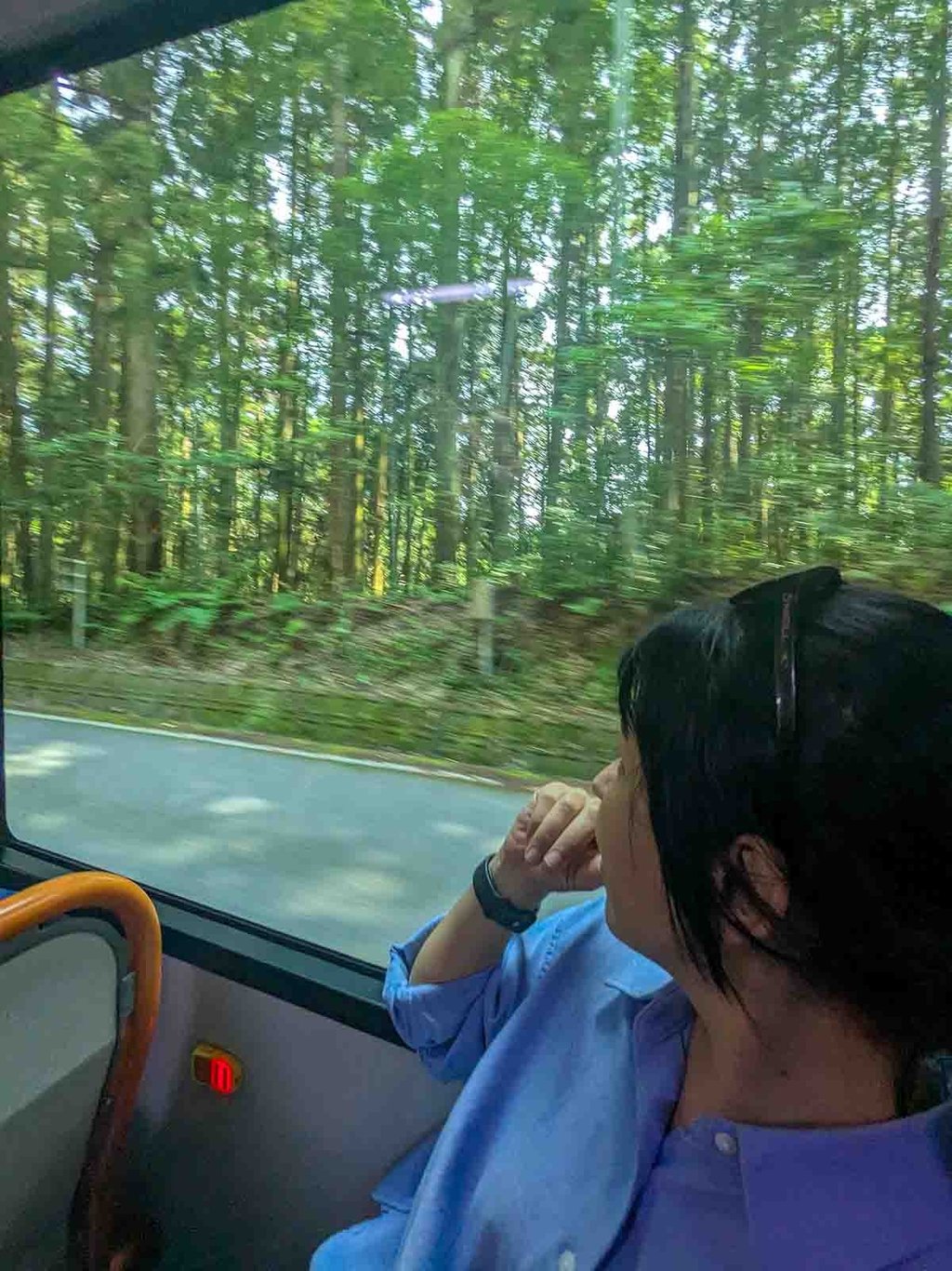 Woman looking out a bus window at lush green forest during a day trip from Shizuoka, Japan.