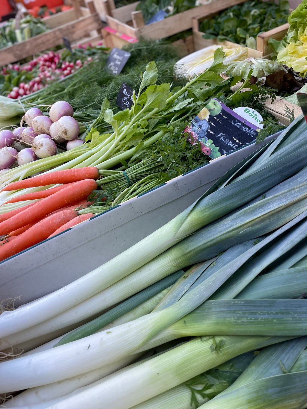 Sélection de fruits et légumes de saison chez Au Jardin des Sablettes à Beaulieu : carottes fanes, p