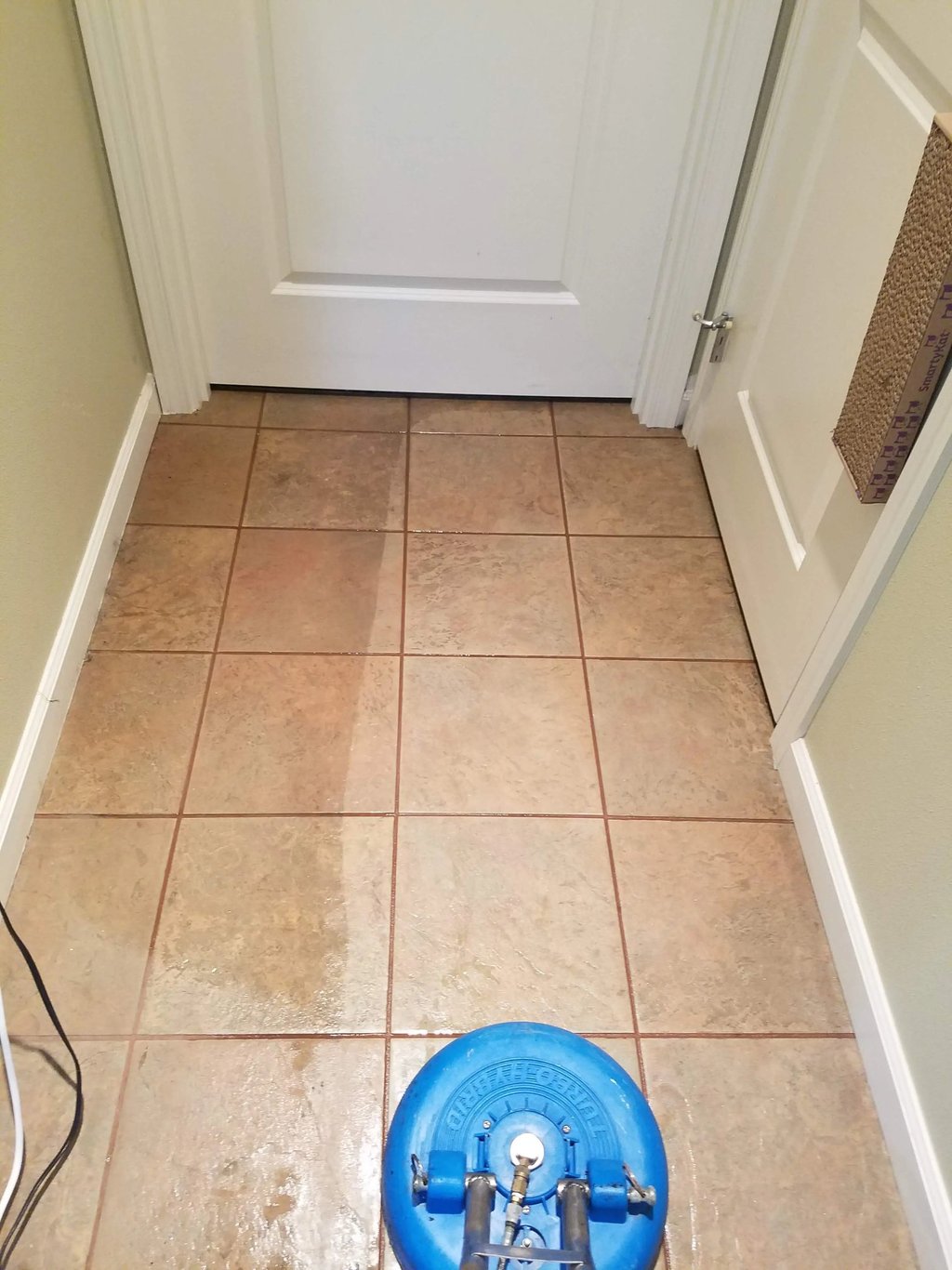 Tile floor cleaning in a Yelm home with dogs