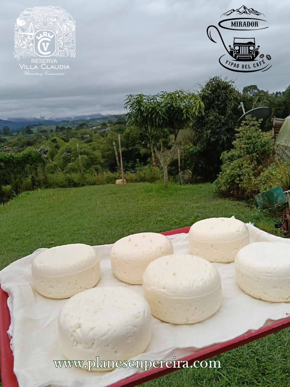 que hacer en pereira colombia