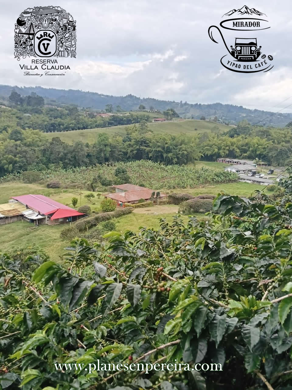 tour cafetero pereira