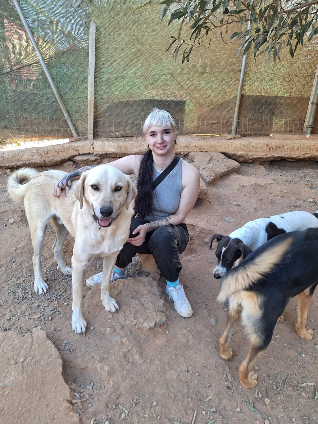 Mel mit Tierschutzhund