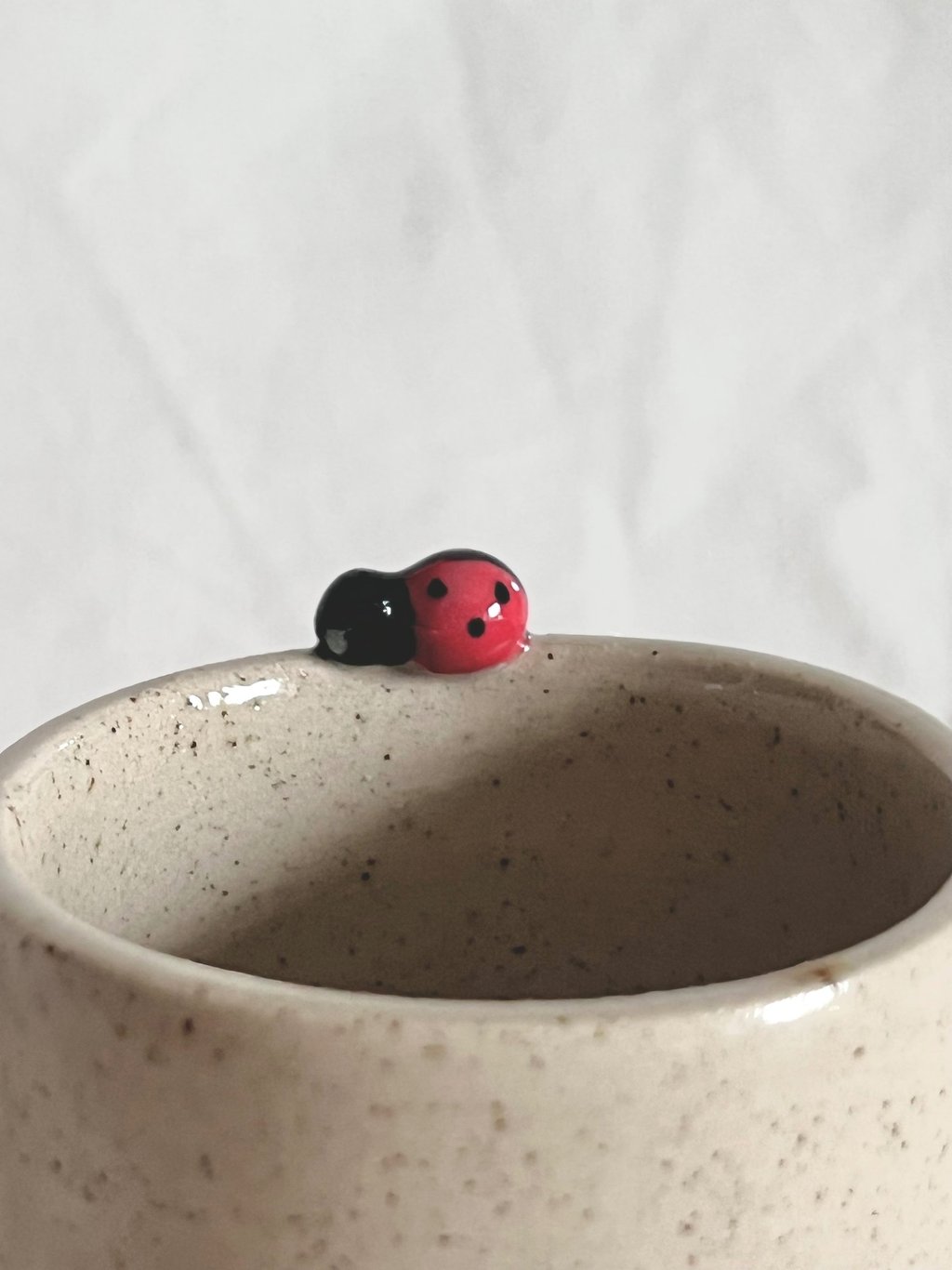 La coccinelle de la collection Morgane