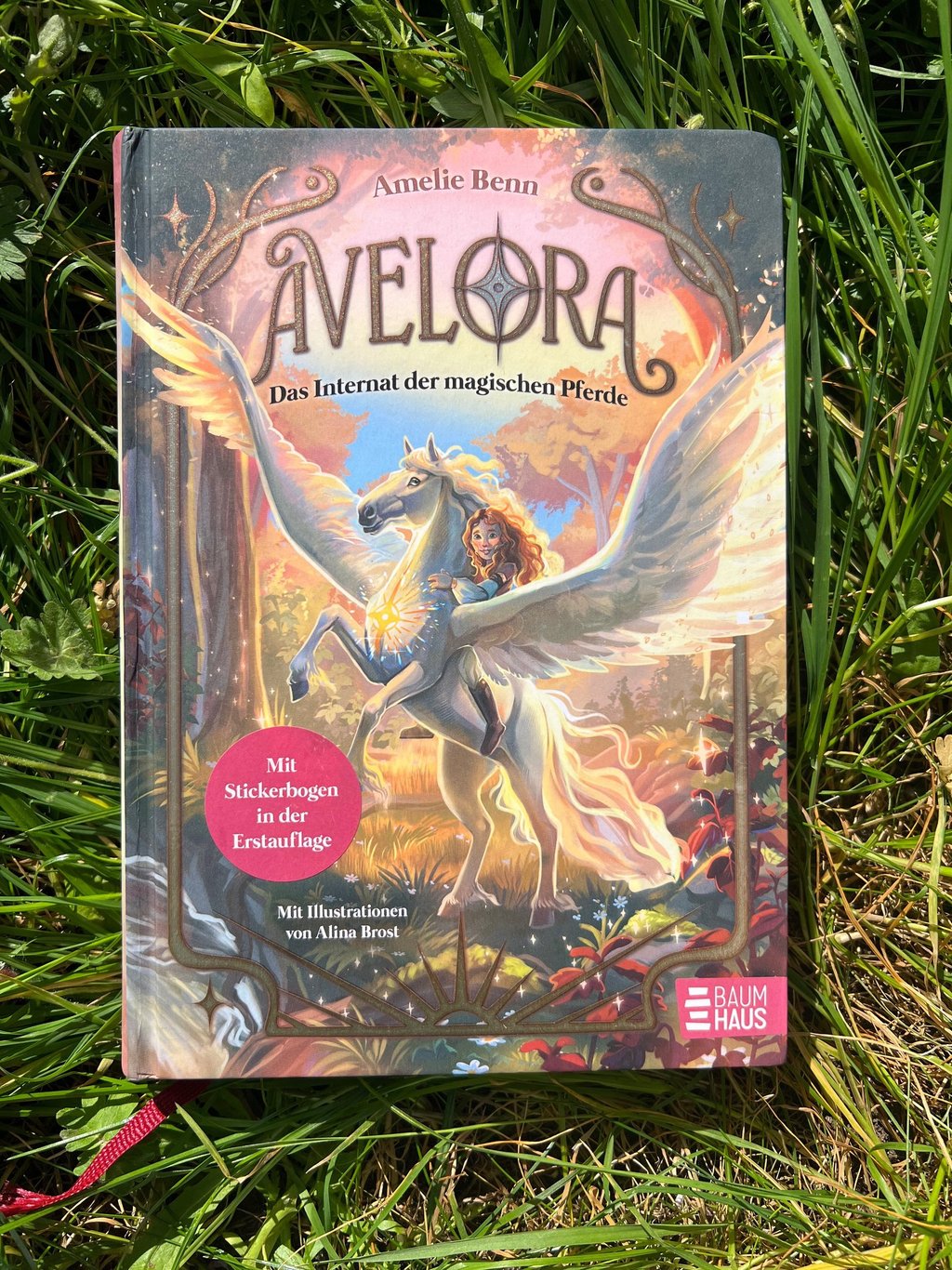 Buch: Avelora - Das Internat der magischen Pferde