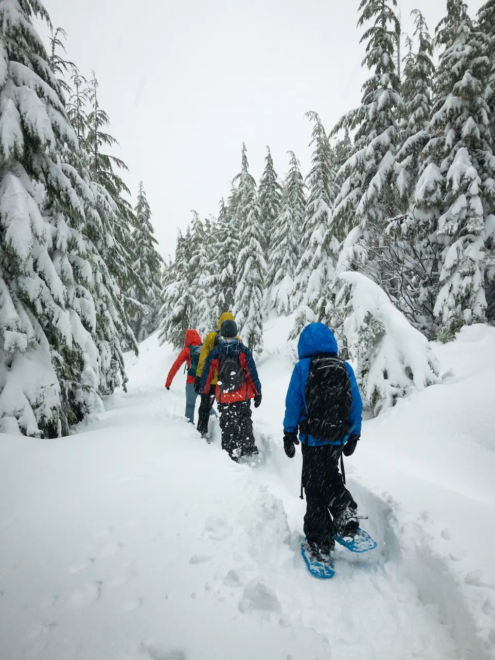 Collégiens en sortie raquettes au Grand-Bornand