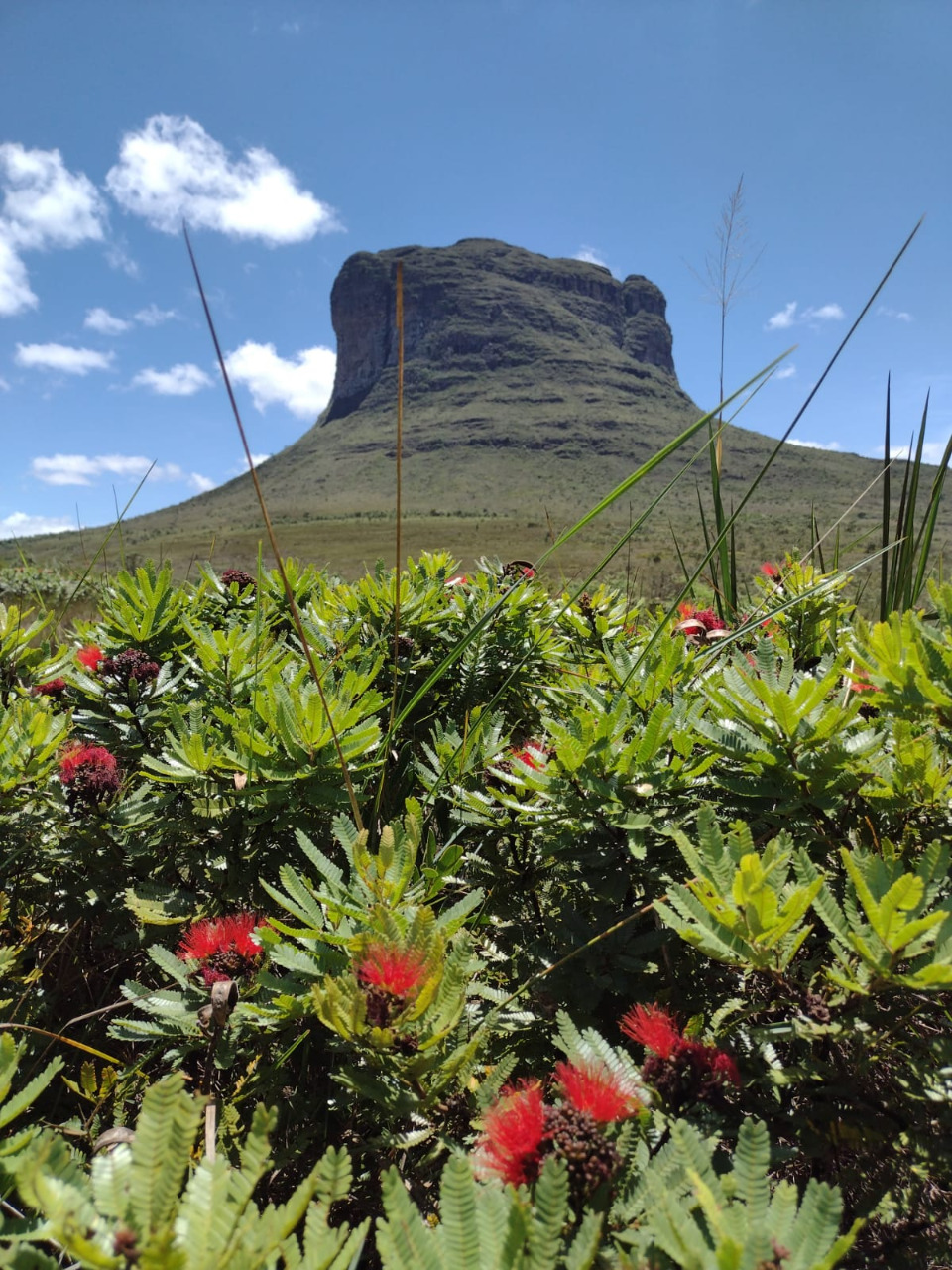 Morrão, Vale do Capão