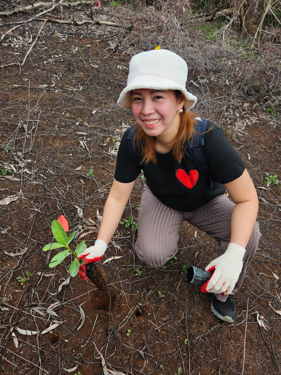 woman planting tree on guam