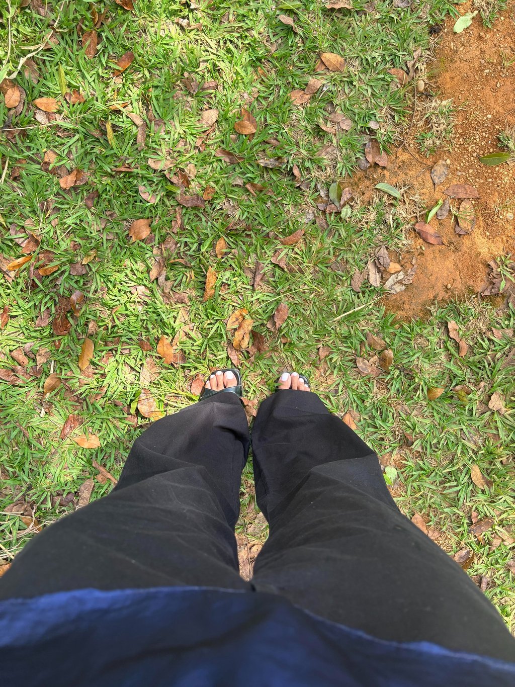 caminhada acompanhamento terapeutico at brasília psicólogo terapia psicanálise