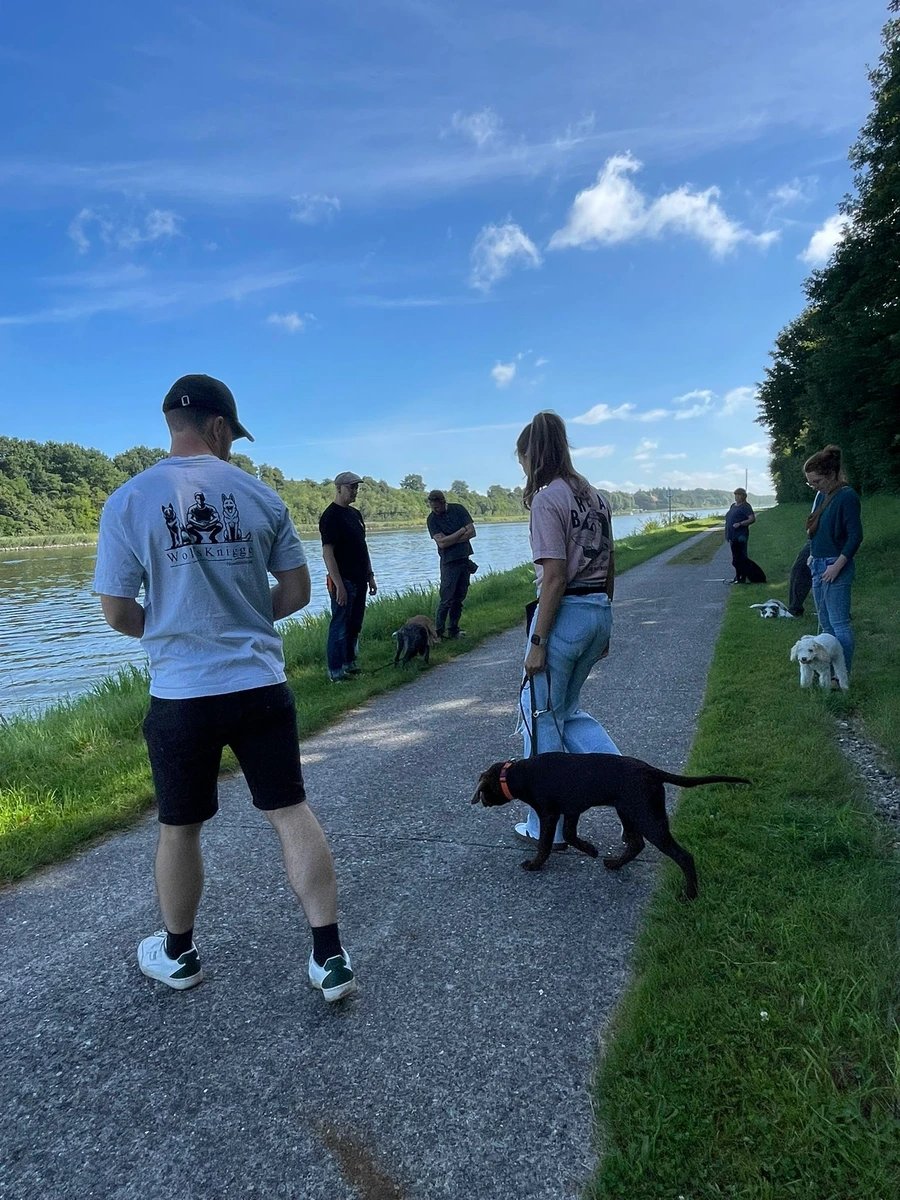 Hundeschule am NOK in der Nähe von Kiel