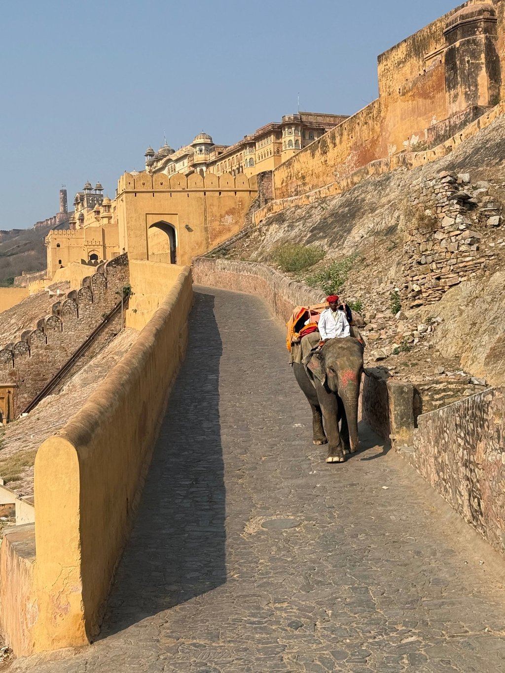 amber fort jaipur india