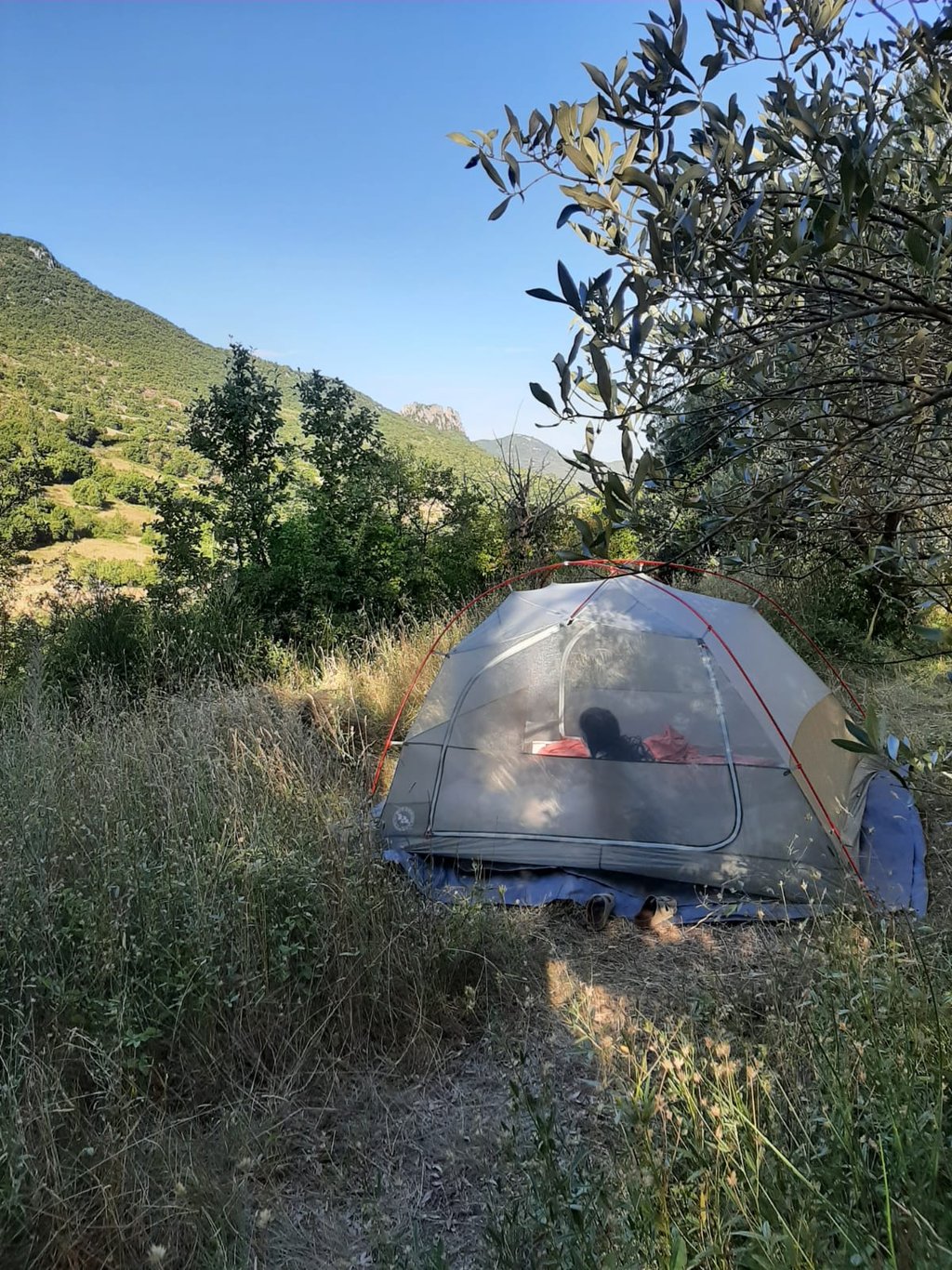 A camping tent set up in a grassy mountain valley with lush green trees and clear blue skies.
