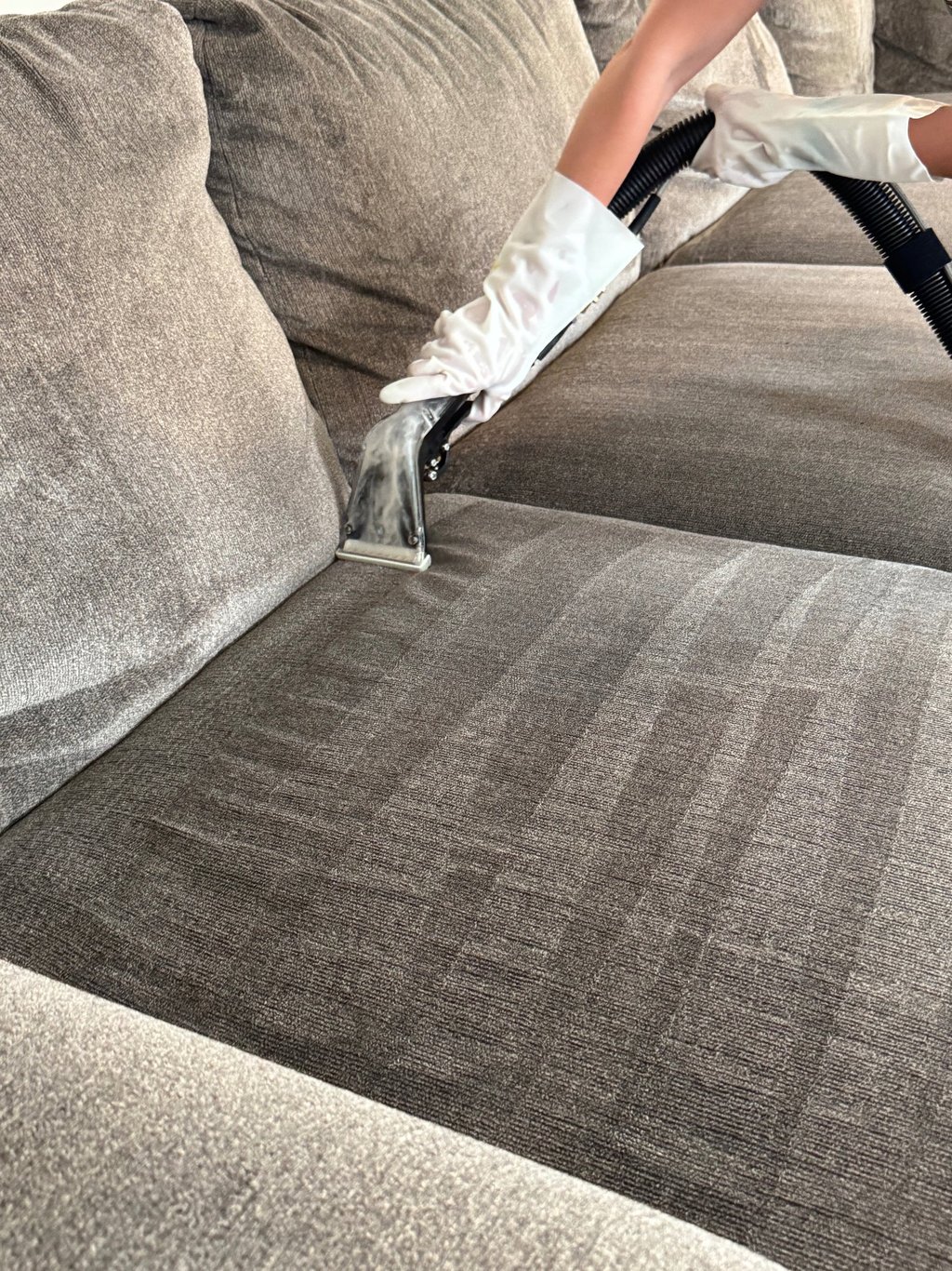 Professional couch steam cleaning in Denver using deep upholstery extraction
