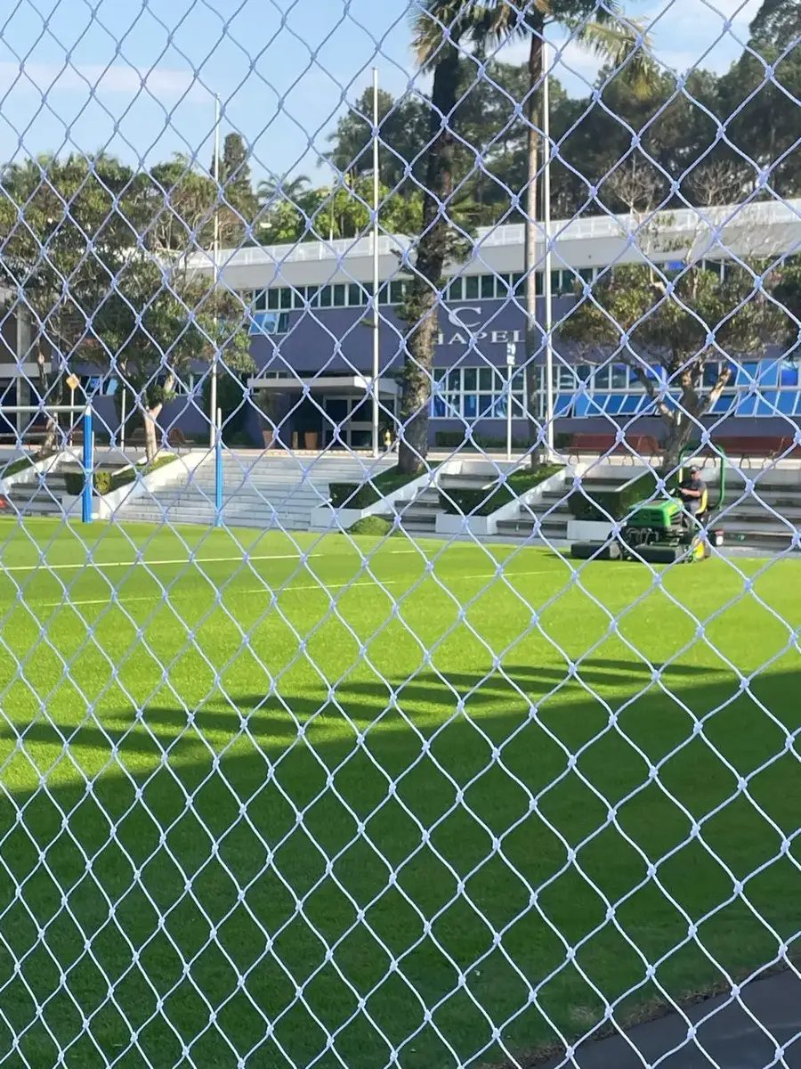 Rede de Proteção Para Escola school