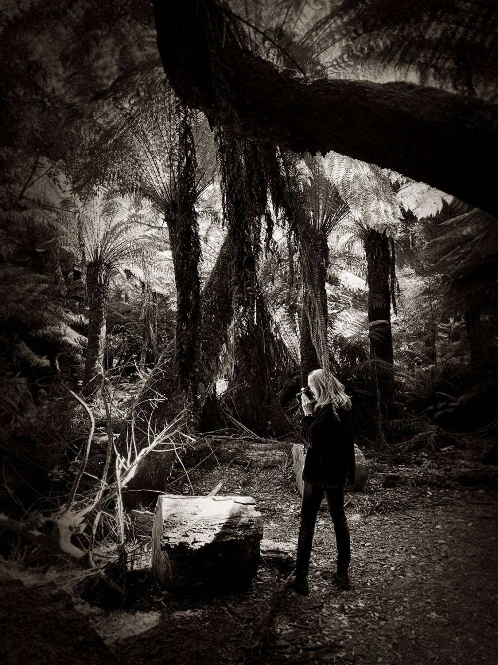 The Australian Journey - rainforest 28, 2024 ©Regina Anzenberger