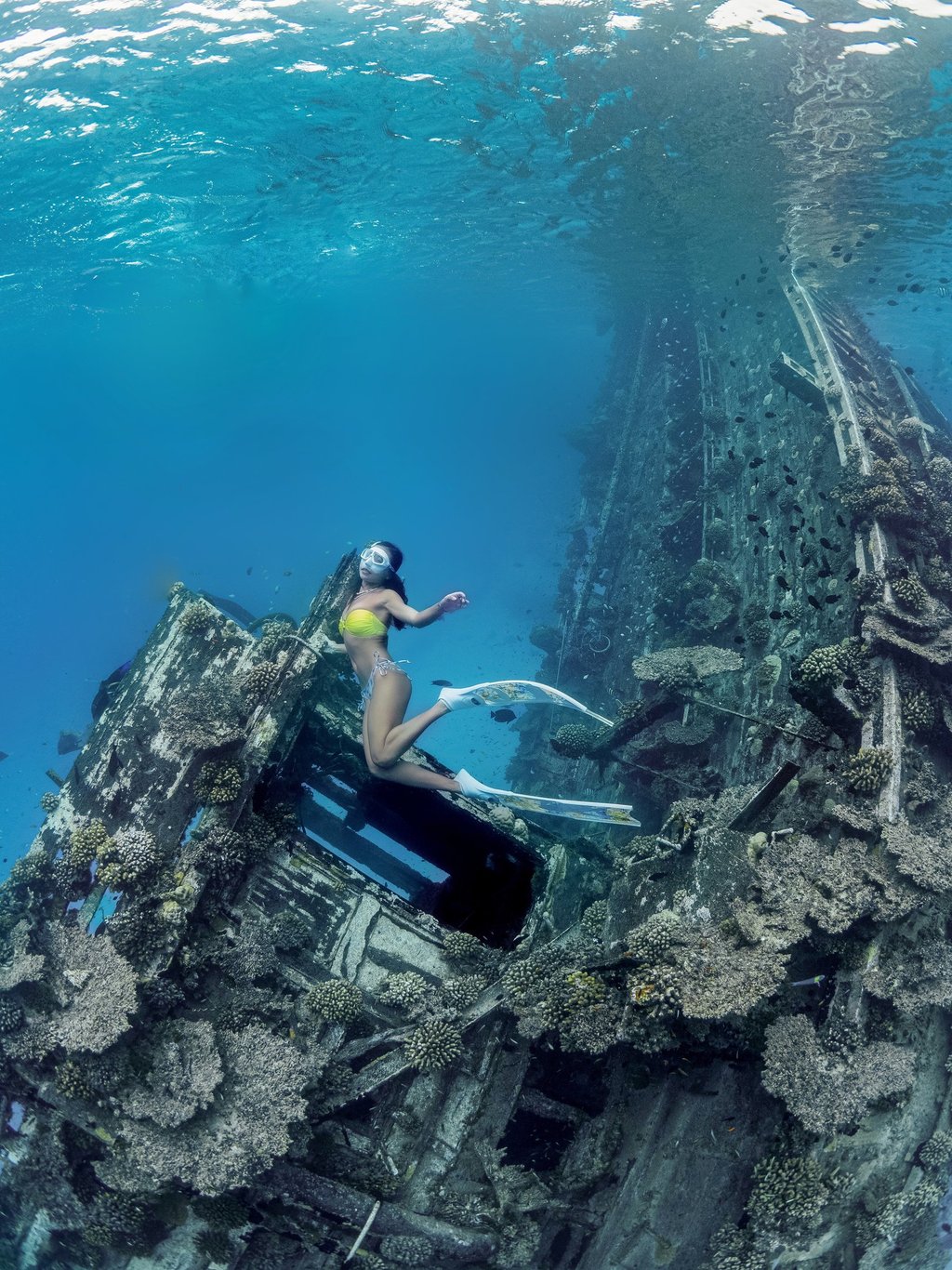 Photography by Welle in Shipwreck of Maldives in Vaavu atoll.