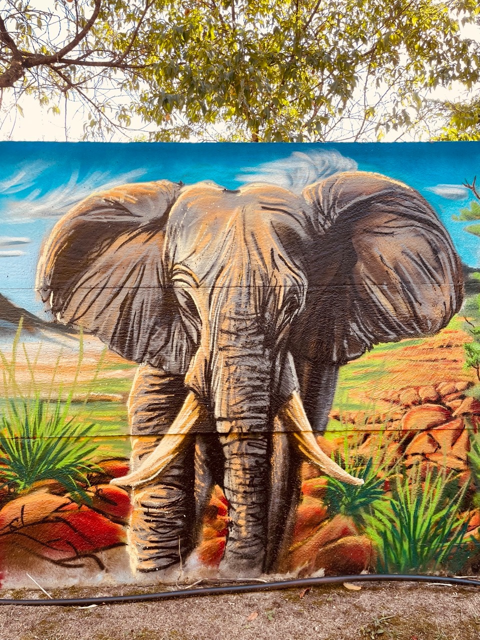 une peinture d'un éléphant en Namibie