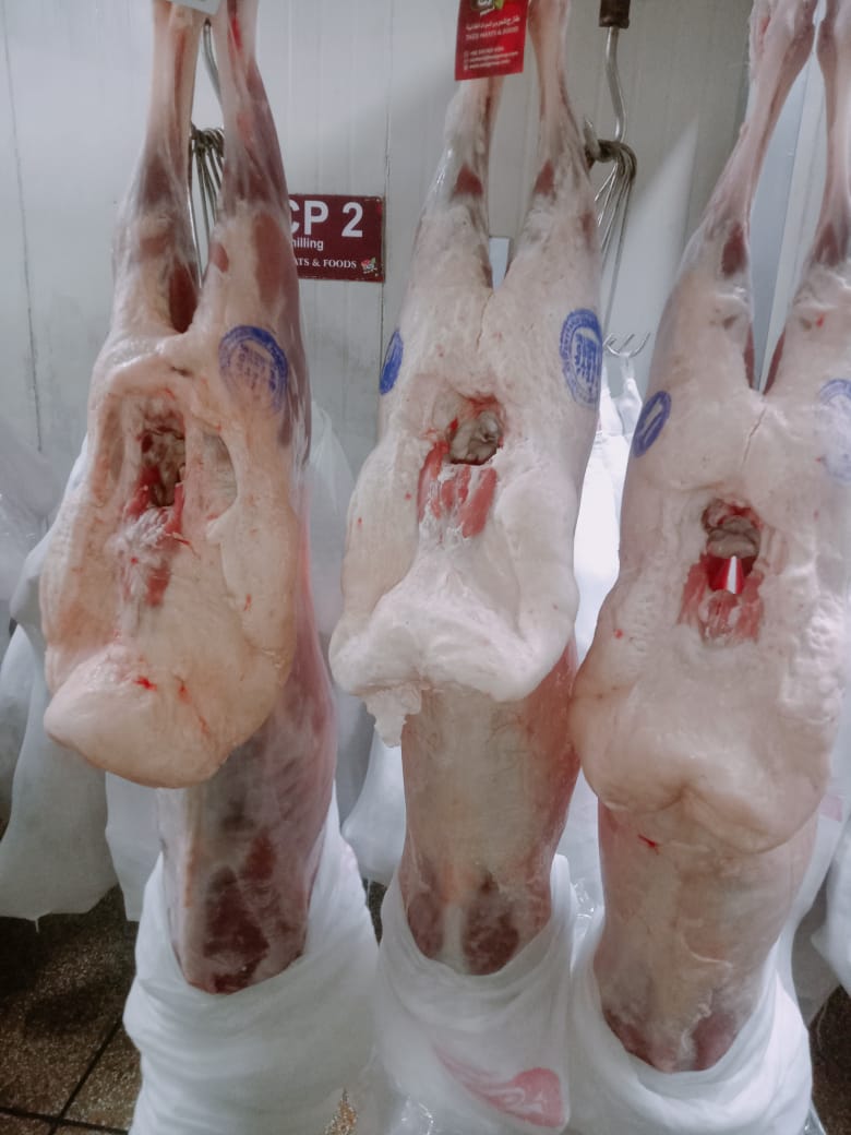 Top Lamb Meat Exporters In Pakistan