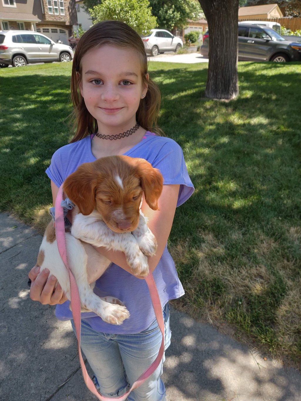 girl holding puppy dog in West Jordan Utah