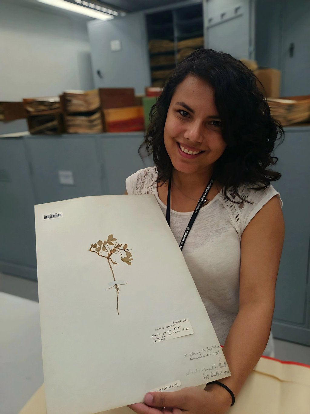 Suzi Santana segurando uma planta prensada, entre ciência botânica e retorno à presença espiritual