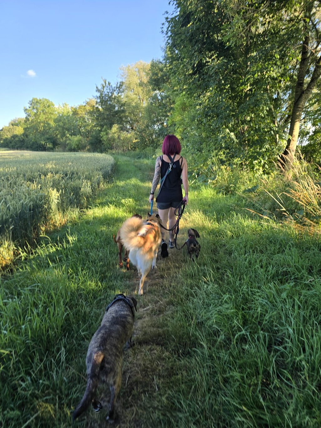 Dogz Erding Gassi-Service