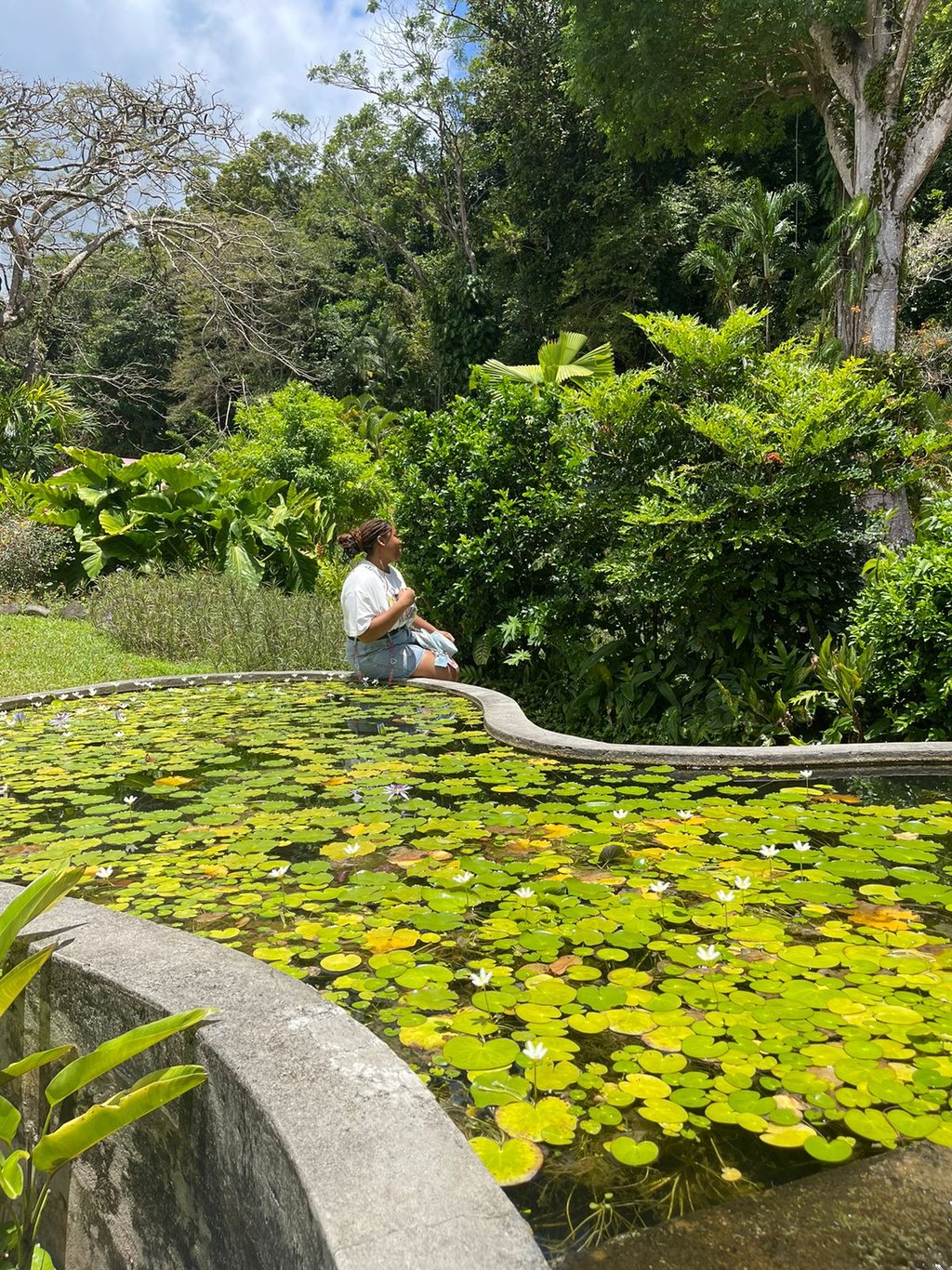 jardin valombreuse Loise Désir Loïse artiste guadeloupe